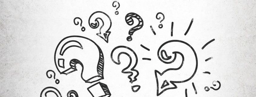 Lo Sapevi Che 50 Curiosità Che Forse Non Sapevi